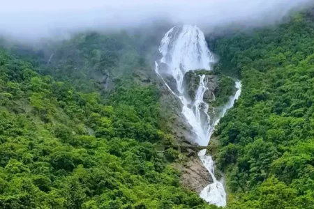 Dudhsagar Waterfall & Spice Plantation Trip from Goa